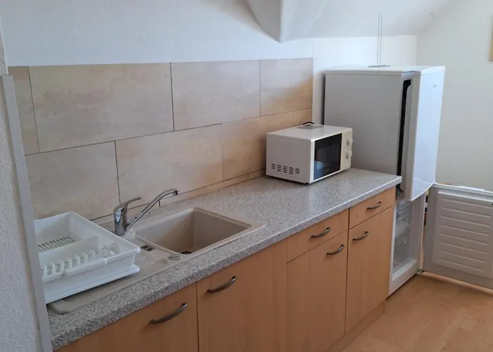 Vater Rhein * 인겔하임암라인