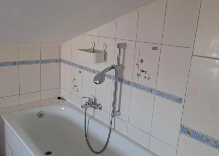 Vater Rhein * 인겔하임암라인